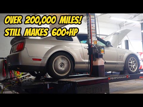 I can't believe this 210,000 mile Shelby GT500 can still pull this HARD (bought the cheapest in USA)