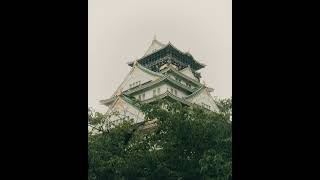 What an iconic structure #ollieodysseyjapan #osakacastle #travelseries