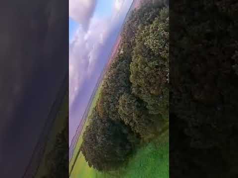 Windy Tree Gap FPV Hyper Low Frame