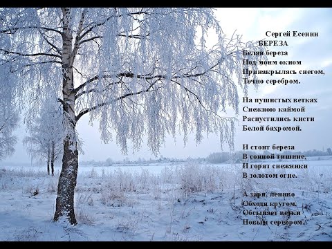 Сергей Есенин. Береза. Учим стихи онлайн с детьми.