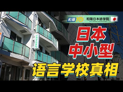 评测 | 日本中小规模的语言学校是宝藏还是坑？到底该怎么选？