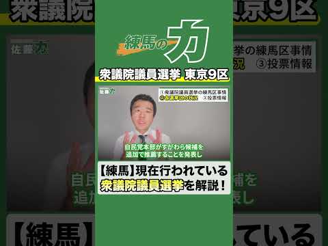 【衆議院議員選挙】東京9区について現役区議会議員が語ります【練馬】