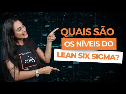 Como funciona os níveis no Lean Seis Sigma?