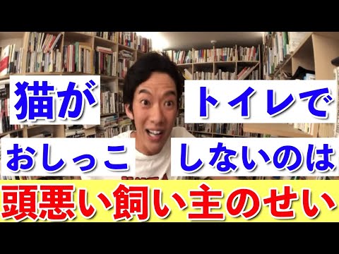 【DaiGo】猫がトイレでおしっこしないのは頭悪い飼い主が本当の原因