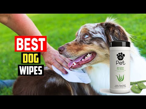 ✅Top 5 Best Dog Wipes in 2023