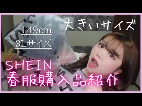 【SHEIN】春服！大量紹介！当たり！ぽっちゃりさん向け/着用動画/ブラウス/低身長