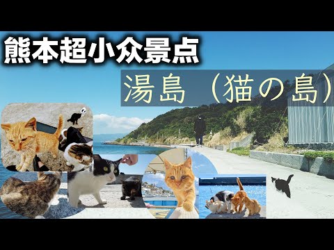 探秘熊本縣超小眾離島--湯島.因島上貓比人多所以又被稱為“貓島”!