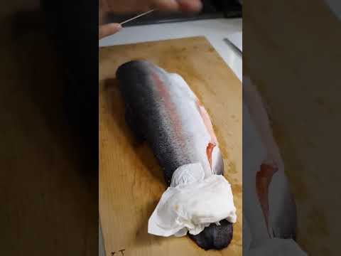 養殖サーモンの三枚おろし【石川県・西海サーモン】Fillet salmon