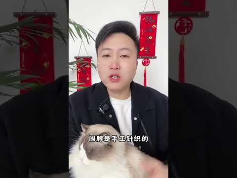 快过年了，裡，快给毛孩子，安排起来小围巾吧。科学养宠攻略 养猫经验分享 宠物围巾 新手养猫 养猫人