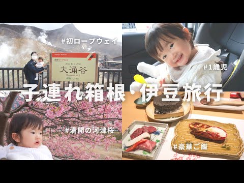 【VLOG】家族3人で1泊2日の箱根・伊豆旅行！子連れ旅、大涌谷、河津桜