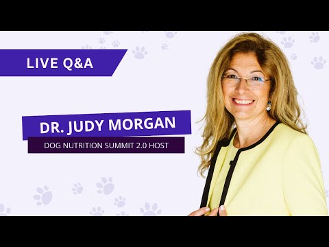 Dog Nutrition Summit Day 3 Live Q&A