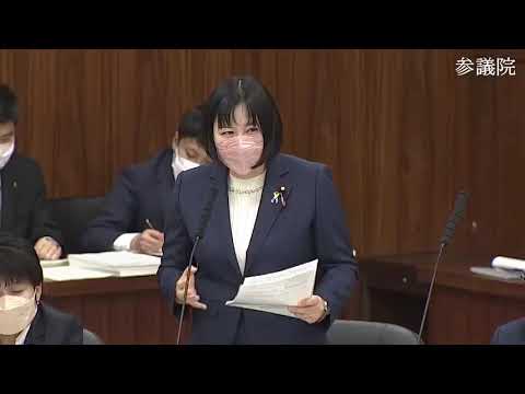 岸真紀子　参議院・総務委員会　20231129