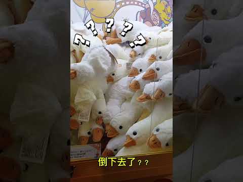 直上直下，鵝鵝出貨🪿#按讚訂閱吳懷中小龜 #娃娃機日常