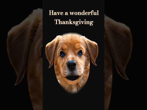 Have a wonderful Thanksgiving #funvideo