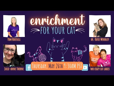 Cat Enrichment Round Table Event! | Two Crazy Cat Ladies