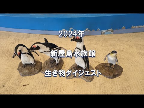 「新屋島水族館」生き物ダイジェスト