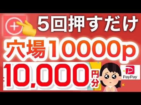 隠れキャンペーン発見‼︎PayPay最大1000p大量配布！