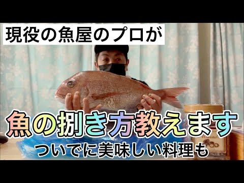 旬の真鯛で鯛飯したらビビるほど美味かった！