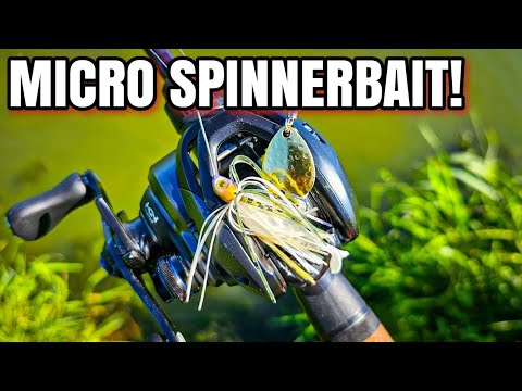 Catch 10x More Fish with a MICRO Spinnerbait!