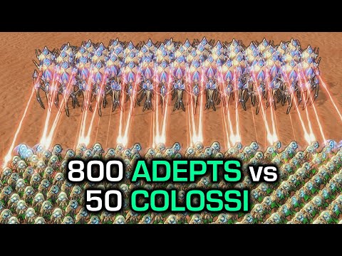 50 Colossi vs 800 Adepts, which unit survives?