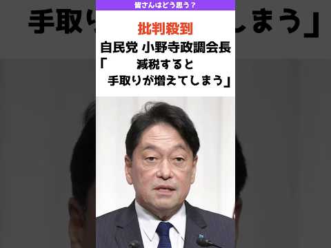 【批判殺到】自民党 小野寺政調会長「減税すると手取りが増えてしまう」