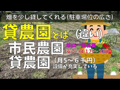 女ひとりで、有機栽培　菌ちゃん農法　貸農園でやってみた｜貸農園とは　市民農園との違い　耕作放棄地もある