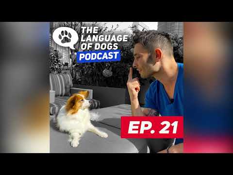 The Language of Dogs Podcast Ep 21 Avoiding Misleading Training Tips