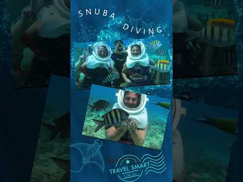 What is Snuba diving🤿?