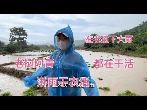 离开老挝有10年了，再一次体验淋着雨干农活