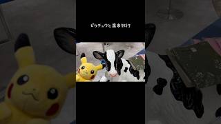 Hot Spring Trip with Pikachuピカチュウと温泉旅行 #shorts #ピカチュウ #ポケモン #ぬい撮り #vlog #travel #新潟 #泉慶 #pokemon