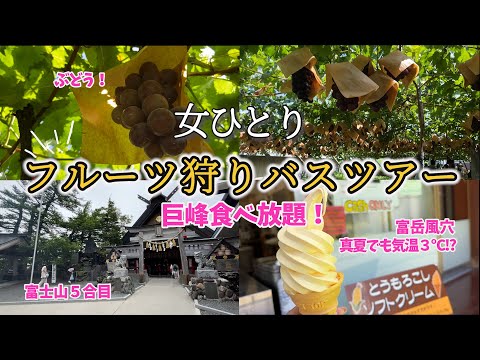 【ひとり日帰りバスツアー】山梨！巨峰狩り食べ放題♪天然記念物・富岳風穴と富士山五合目へ！真夏でも3℃な天然冷蔵庫の世界を体感した！