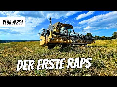 Vlog 265 The first rapeseed in contract work