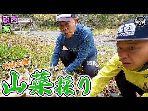 【春の特別企画】原西＆亮の山菜採り！