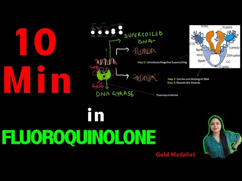 Fluoroquinolones Mechanism of Action, DNA Gyrase Inhibitors | Fluoroquinolones Mechanism