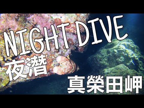 「沖繩潛水」真榮田岬海域《夜潛》NIGHT DIVE、晚上也可以潛水