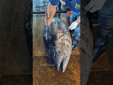 Cutting Bluefin Tuna in One minute 黑鮪魚一分鐘切割術 #bluefintuna