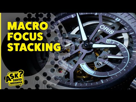 Macro Focus Stacking | Ask David Bergman