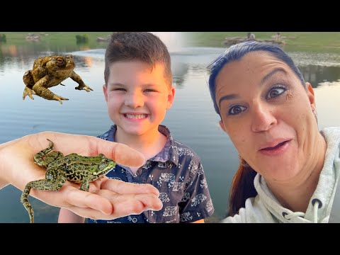 CALEB and MOMMY LOOK for FROGS and BUGS on our BACKYARD BUG HUNT!