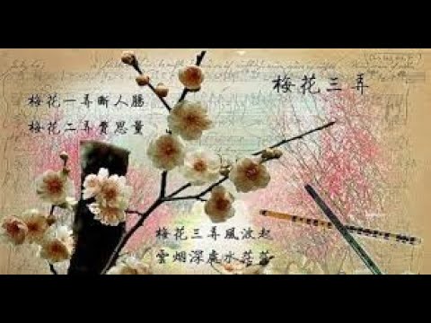 【今之古琴】傲雪淩霜見精神，古曲《梅花三弄》