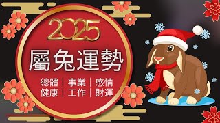 2025年生肖運程｜2025 兔年運勢 ｜生肖兔- 整體運勢、事業運、財運、工作、健康詳細解析