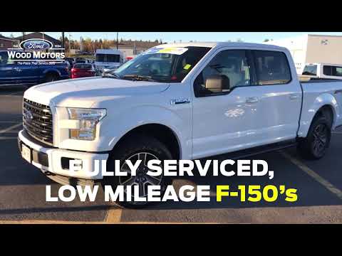 Wood Motors Ford - Used F150s