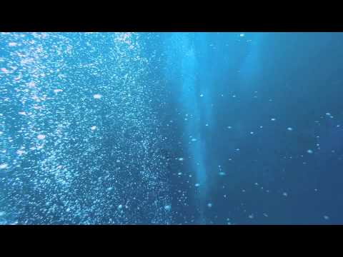 Recreational Freediving! Play with bubbles! - Ita, January 2015 (西伊豆井田)