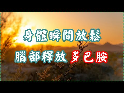 身體瞬間放鬆 輕音樂 腦部釋放多巴胺 入眠、放鬆、舒緩、休息【1小時】 Relaxing Music, Soothing Music