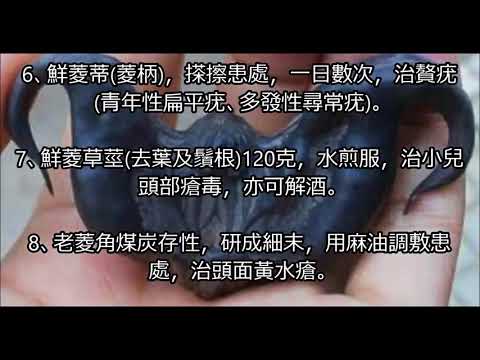 【健康養生】常吃它竟能抗癌消脂治百病?! 菱角有什麼作用!!!【心靈舒果】