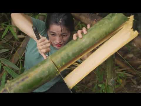 190 DAY SOLO OVERNIGHT CAMPING IN THE RAIN FOREST - RELAXING IN THE TENT WITH THE SATISFYING SOUND