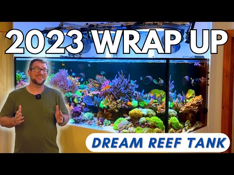 Dream Reef Tank - 2023 Wrap Up