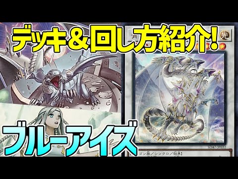 【#遊戯王】初心者復帰勢オススメ！ストラク＋数千円で最強レベルに！？『ブルーアイズ』徹底解説＆デッキレシピ！！【#デュエダン】