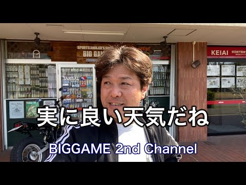 2024年3月31日/ 実に良い天気だね！