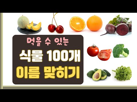 먹을 수 있는 식물 100개 맞히기｜3초 만에 맞히기｜과일, 채소, 뿌리, 열매, 견과류, 해초