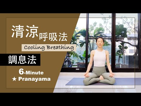 6分鐘 調息法【清涼呼吸法Cooling Breathing】Pranayama ★ #呼吸法 #SitaliPranayama